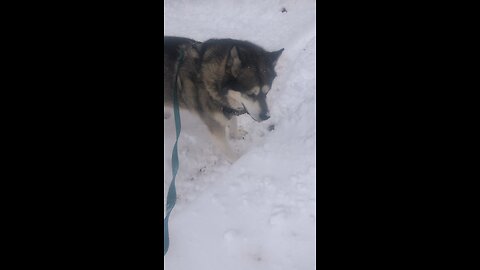 Friday November 28, How we praise God