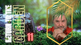 The Olive Tree Beaten ~ Isaiah 17 Reveals Qamah, Laqat & the Final Harvest Garden Eleven