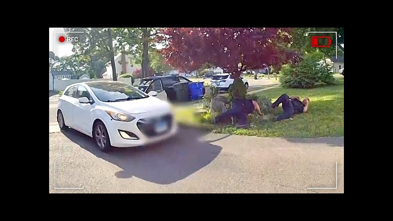 Triggered Gen Z Mows Down Cops to Hit Her Vape