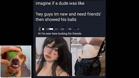 Memes That Will 99.0610% Make You Laugh. (e834)