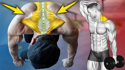 5 BEST Exercises for Bigger Traps Workout