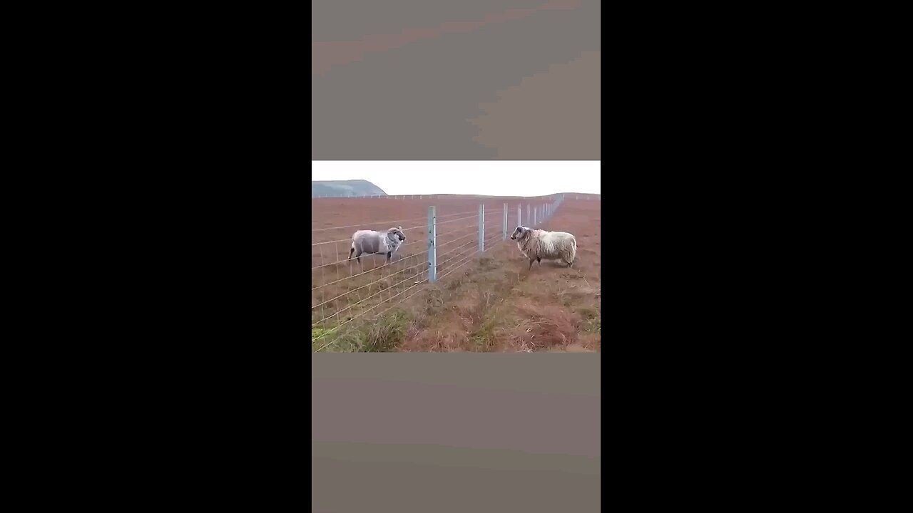 Are you good 😂😂😅😅🤪😜