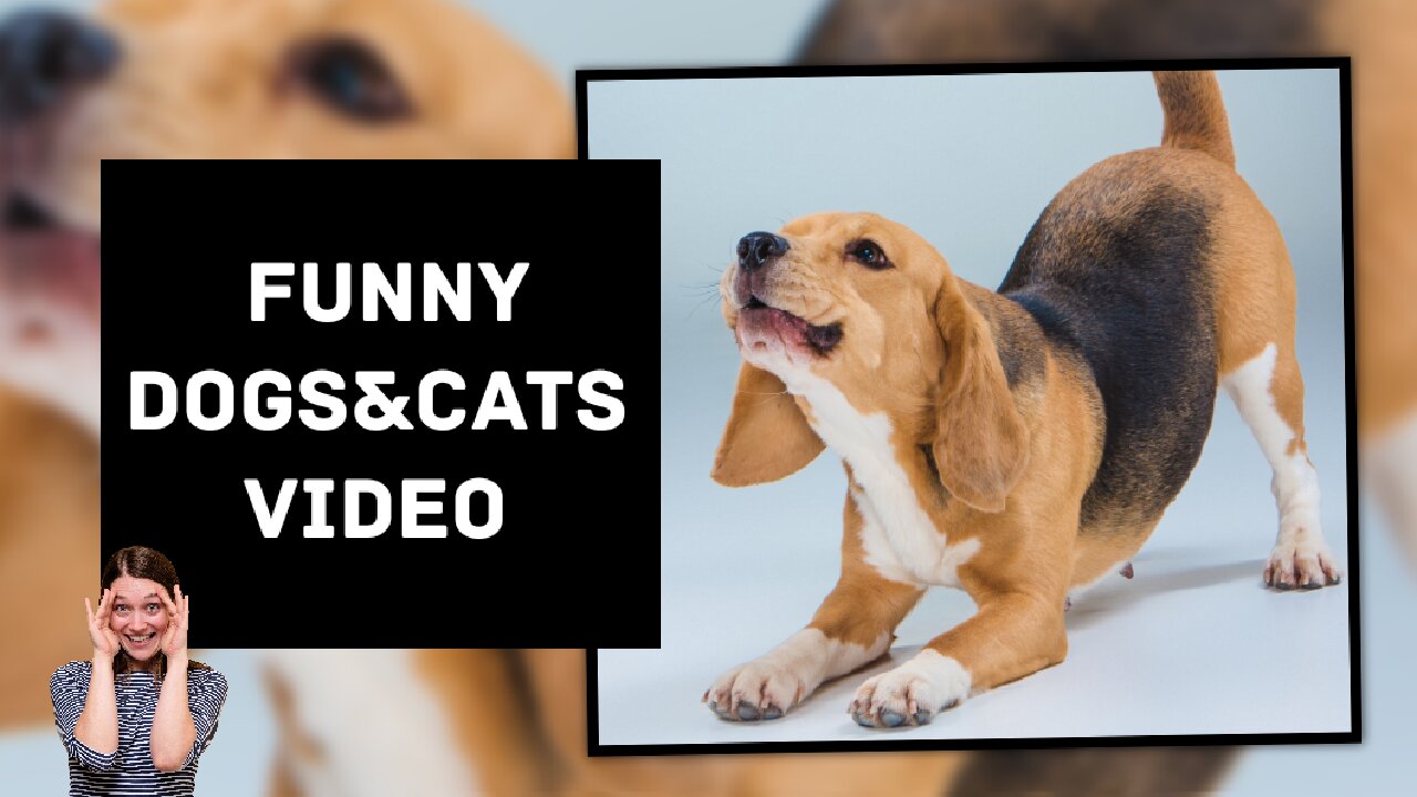 Pawsome Laughter: Hilarious Dogs & Cats Caught in Action