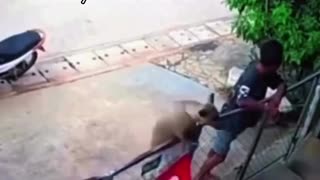 😂🐶 What da dog doing? | FunFM