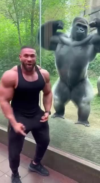 🔥🔥🔥 टाइटन्स की कक्षा 🔥🔥🔥🦁