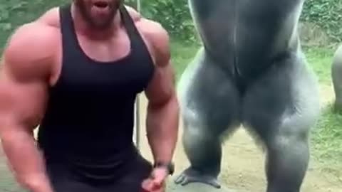 🔥🔥🔥 टाइटन्स की कक्षा 🔥🔥🔥🦁