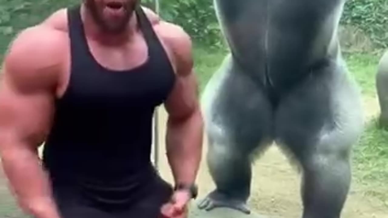 🔥🔥🔥 टाइटन्स की कक्षा 🔥🔥🔥🦁