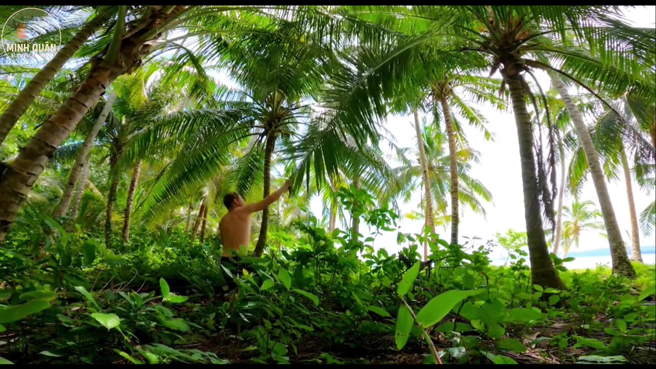 | One Day Surviving Alone on the Beach