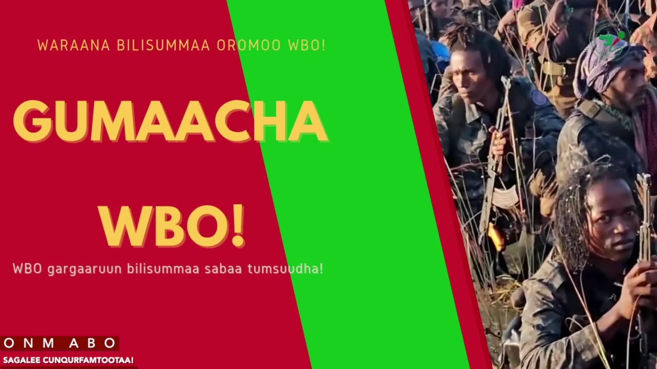 Gabaasa Gumaacha ONM-ABO Fulbaana 25-2025 itti dhiyaadhaa!