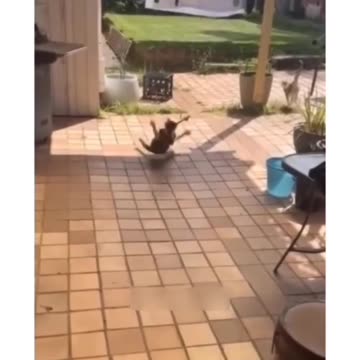 😂😂❤️❤️