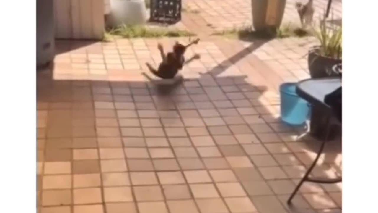 😂😂❤️❤️