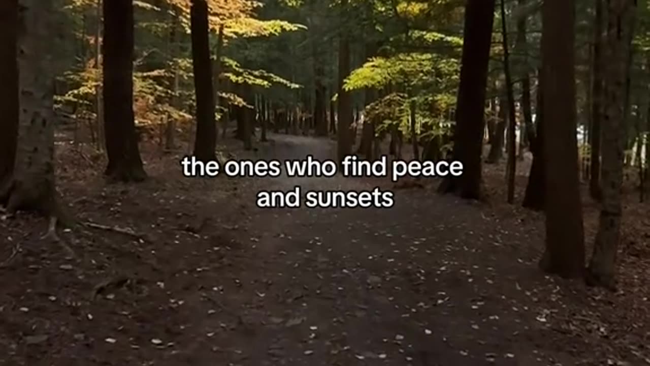 everything is beautiful