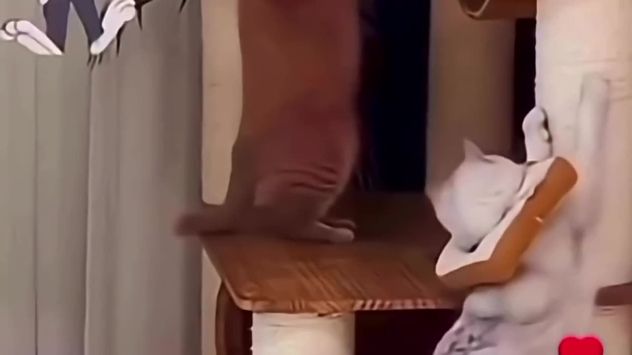 He bit the wrong meat 😂😂😂😂 #viral #funny