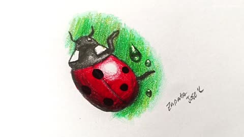 How to draw a ladybug