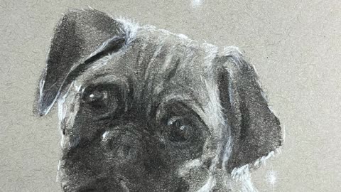 Dog raven ferret hummingbird monkey pastel charcoal painting Artettina