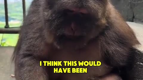 🤯😂 When He Thought Food Was Just Out of Reach... | FunFM