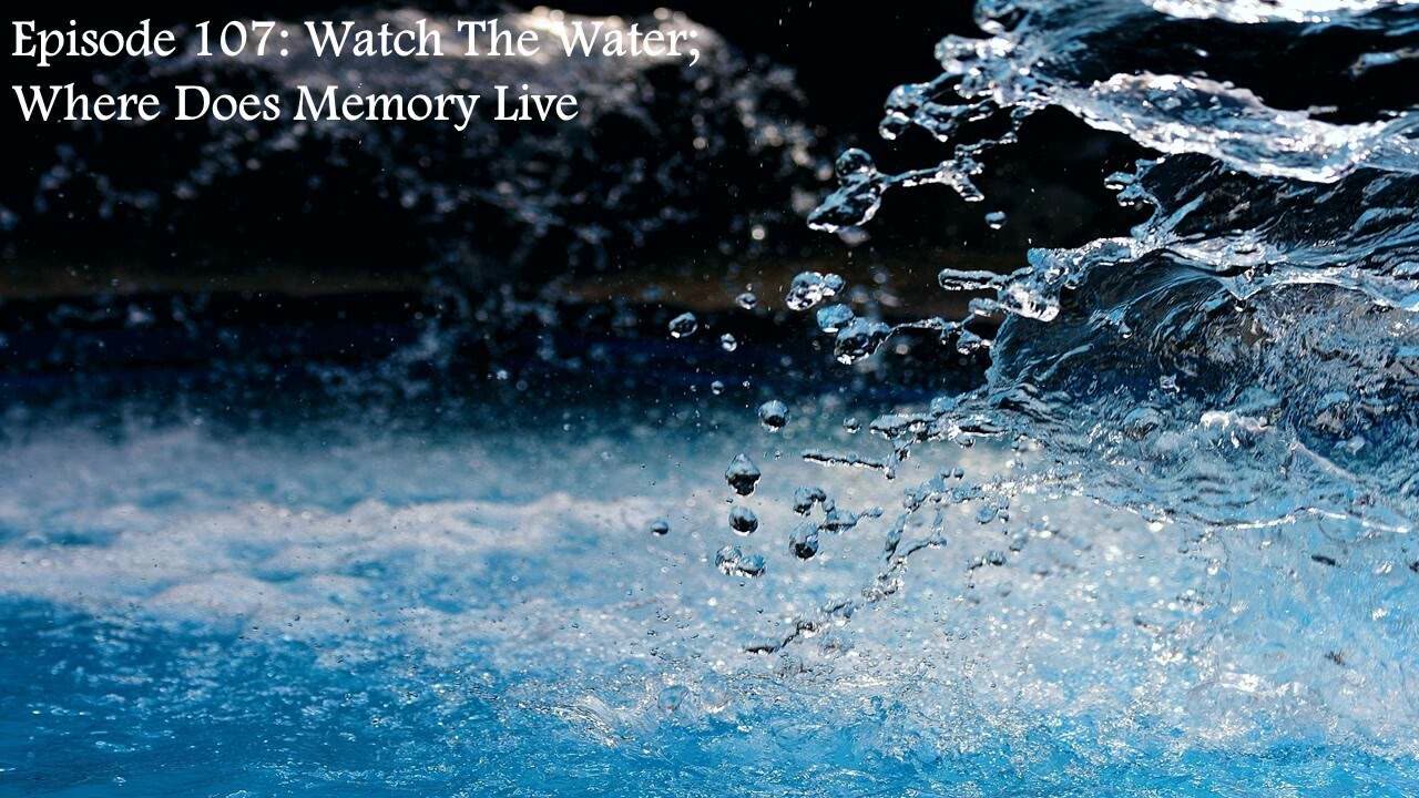 Episode 107: Watch The Water; Where Does Memory Live