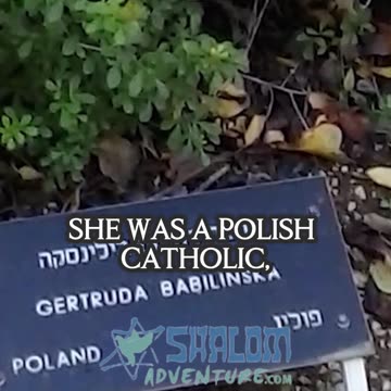 A Promise Made in the Shadows of War—What Would You Do?