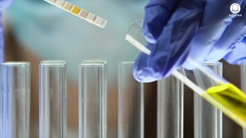 Biohacking. Who Hacked Our Perfect System?