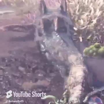 McDicken. Monster Hunter? Ultra combo! #monsterhunterworldiceborne