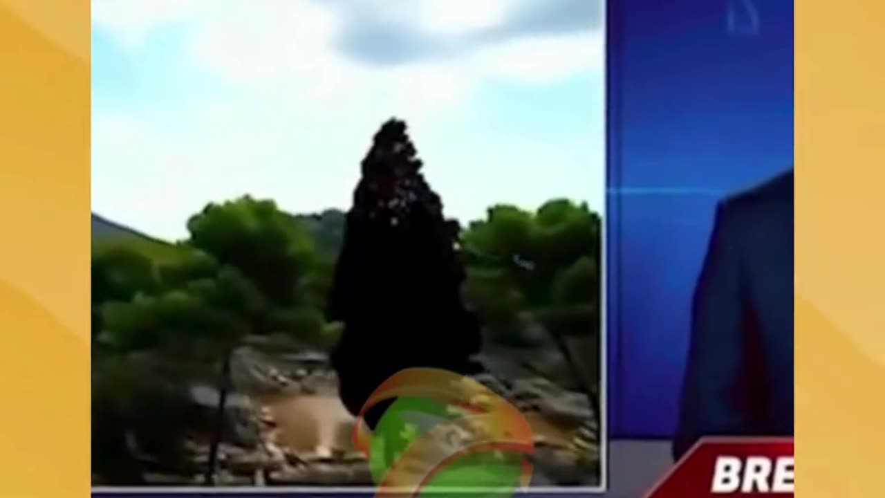 They said giants weren’t real. Then we found this. 😳 🗿🌍🧠🤔