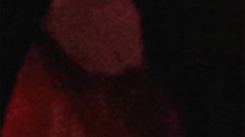 WAV - Nothing Fright