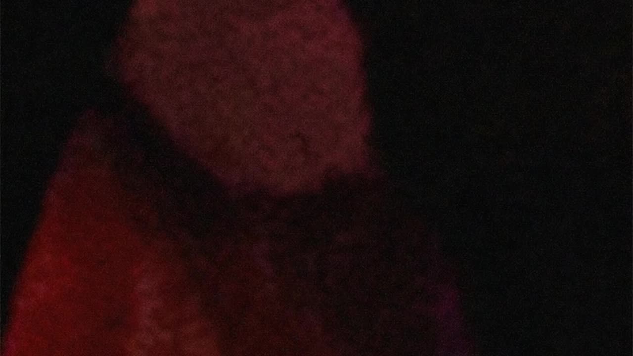 WAV - Nothing Fright