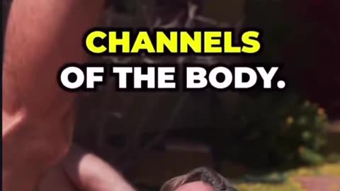 This You White People?