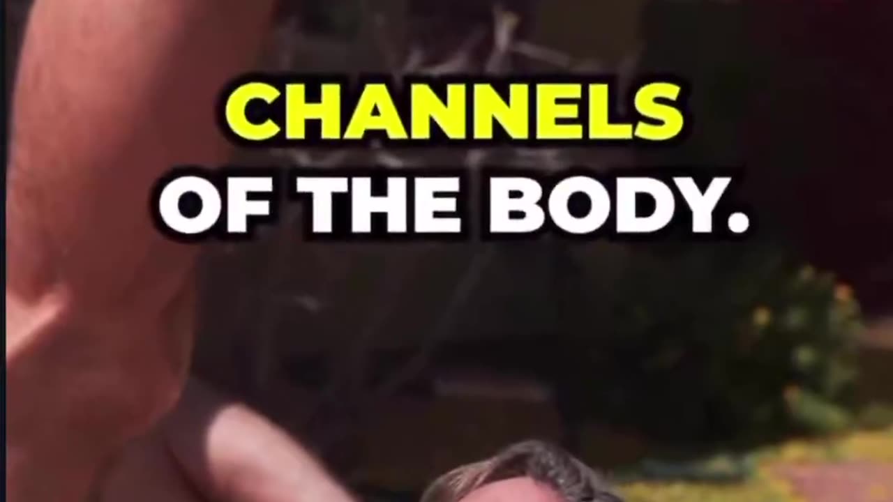 This You White People?