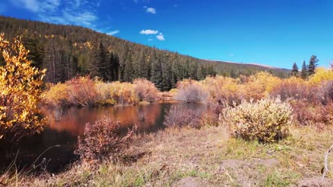 Epic Journey Through Colorado's Autumn Colors