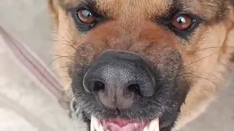 hey man, I don't think he's hungry 😅