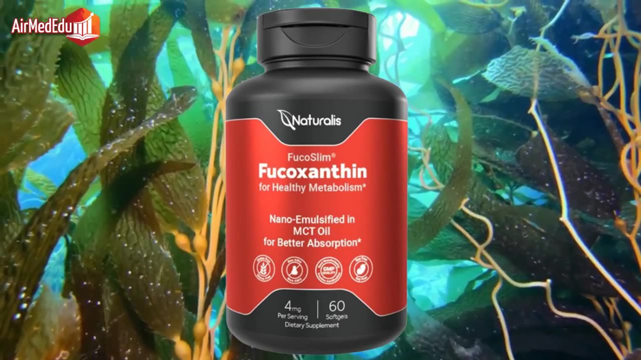 Fucoxanthin, Recommended Dose