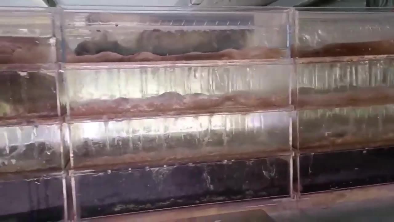 【龍爵士】新款 三管雙管 滴流盒