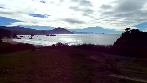 The Birds, the birds 10/28/25: