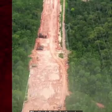 100,000 Amazon Rainforest Trees Mowed Down to Build Highway to UN Climate Summit