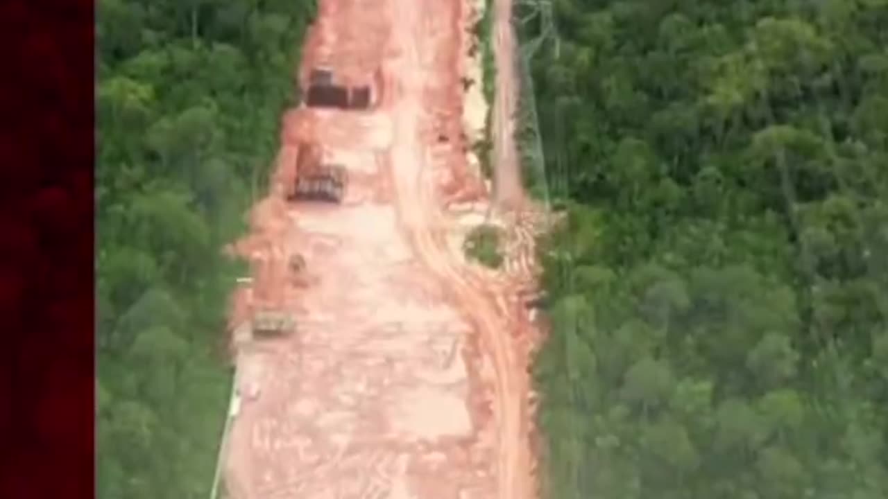 100,000 Amazon Rainforest Trees Mowed Down to Build Highway to UN Climate Summit