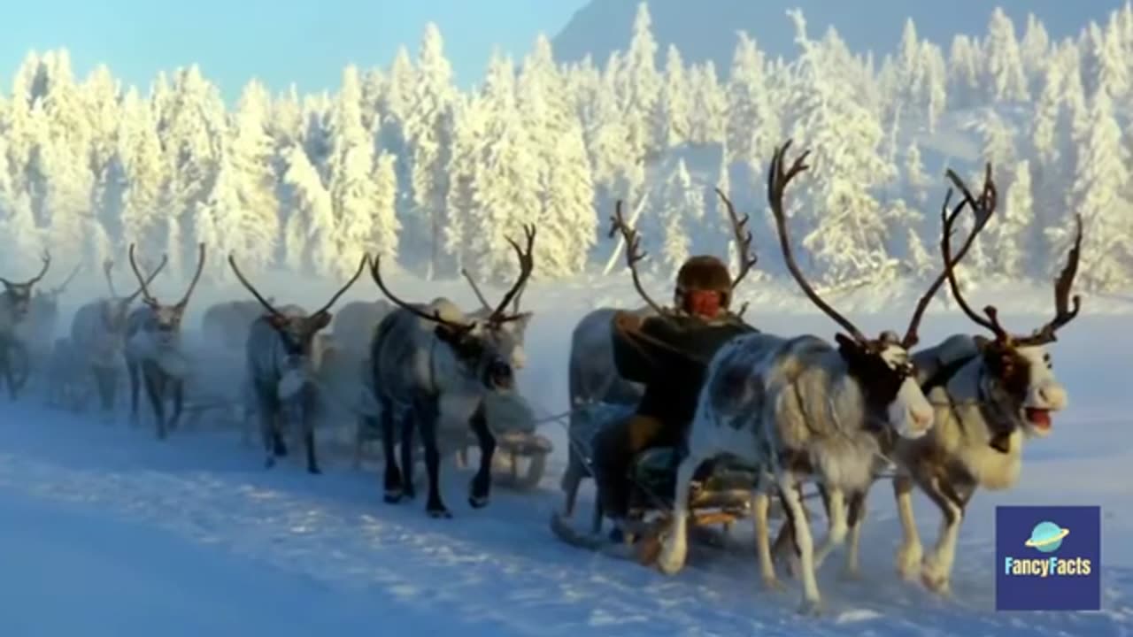 Top 5 coldest places on Planet Earth