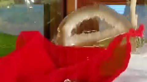 😊 CAPÍTULO 13 TIRADA ESPECIAL: “EL CONSEJO DE LAS PIEDRAS” 😊