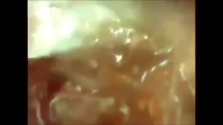 Cov Test appears to be a delivery system according to scientific studies