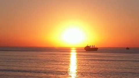 Daily Horoscope | Leo 🌟