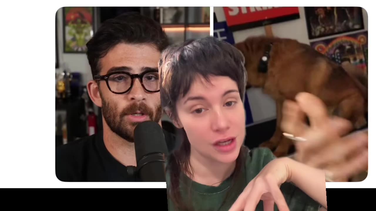 Hasan Piker (Hasanabi) Haters Claim his Dog Wears a Shock Collar