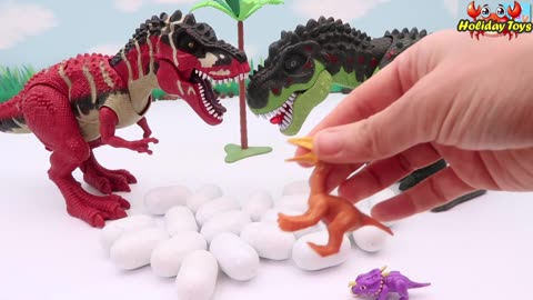 Broke Open Large Blue Egg Containing Five Small White Eggs