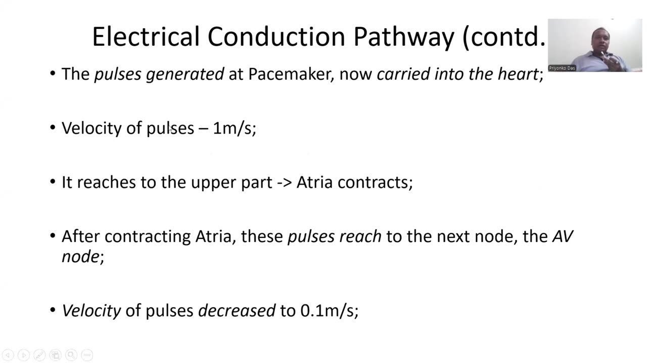 ECG - Understanding, Electrical Pathway