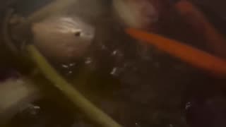😂🧙‍♂️ You Won't Believe This Soup Sorcery! | FunFM