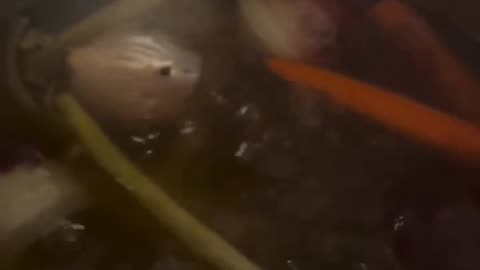 😂🧙‍♂️ You Won't Believe This Soup Sorcery! | FunFM