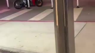 🤸‍♂🚫 Trying to Stay Upright! | FunFM