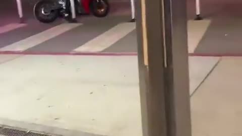 🤸‍♂🚫 Trying to Stay Upright! | FunFM