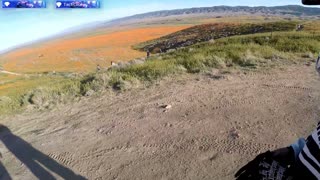 🔴POWERSPORTS, FESTS, SIMS/GAMING, COMEDY, TRAVELNSHEZ