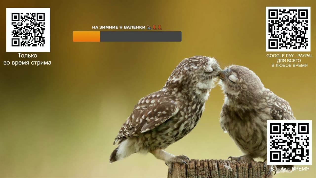 Стрим о зелёных телепузиках, голубом луче, заговоре и поминках чебурашки 😁