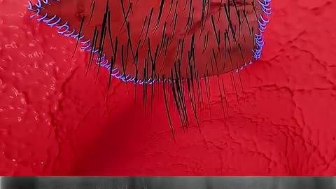 trending video 📷 trending 💫 video